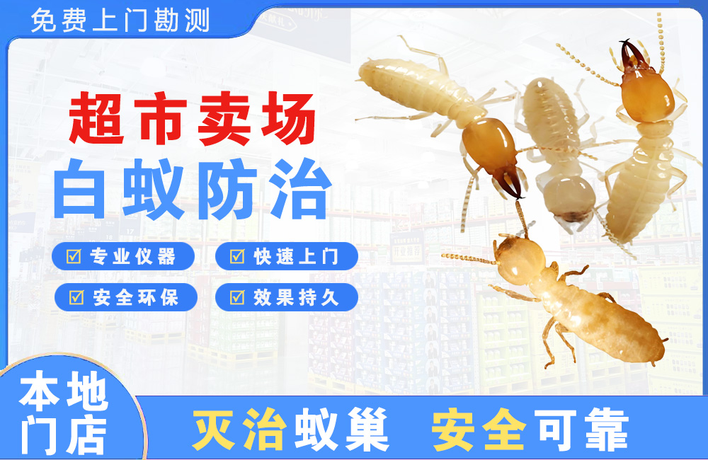 万源超市卖场白蚁防治