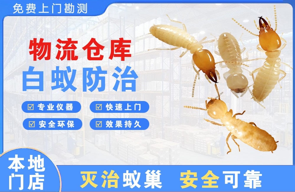 万源物流仓库白蚁防治