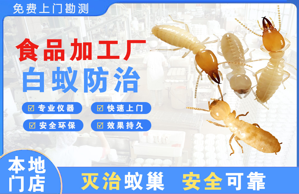 万源食品加工厂白蚁防治