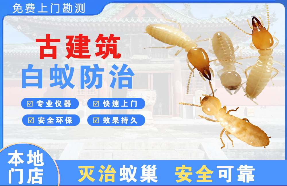 万源古建筑白蚁防治