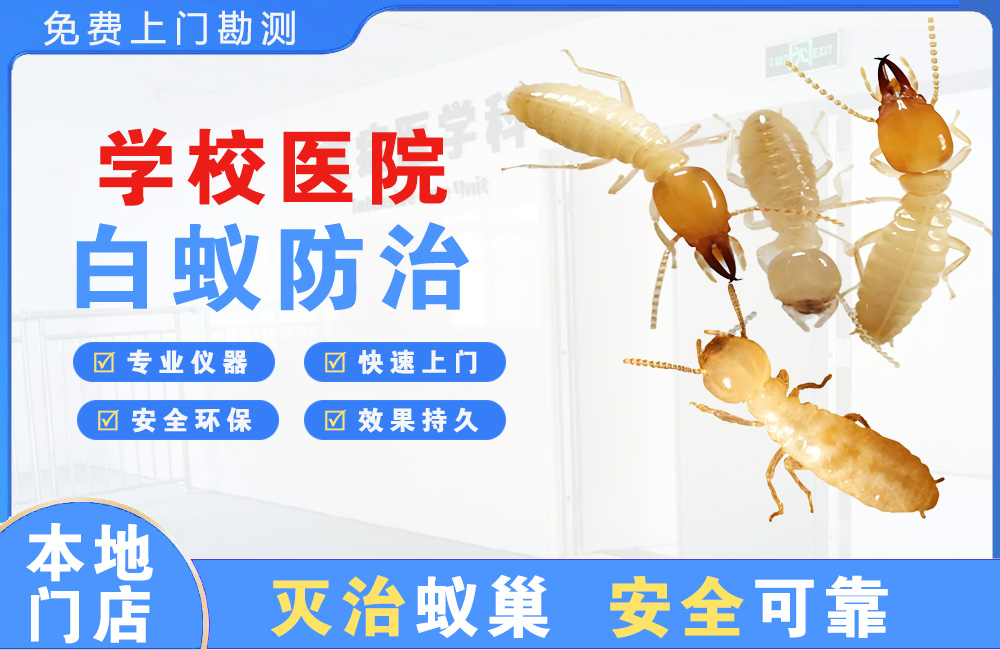 万源学校医院白蚁防治