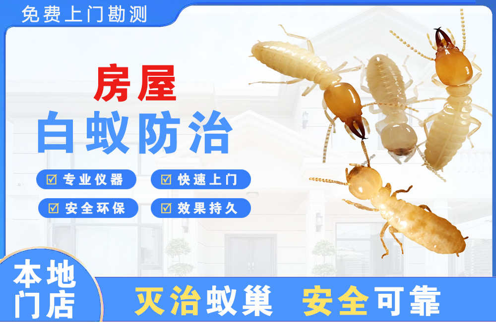 万源房屋白蚁防治