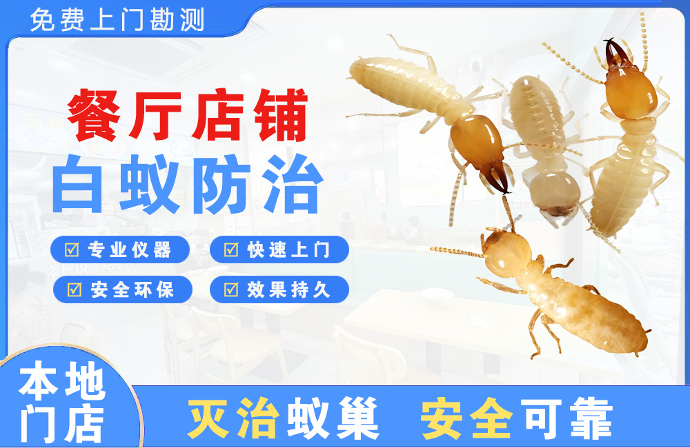 万源餐厅店铺白蚁防治